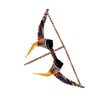 Battle Bow