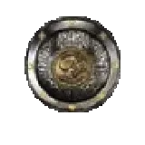 Large Round Shield