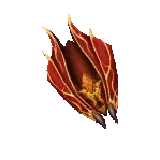 Salamander Shield